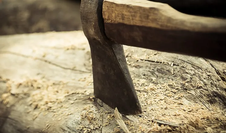 An axe head buried in a cut log