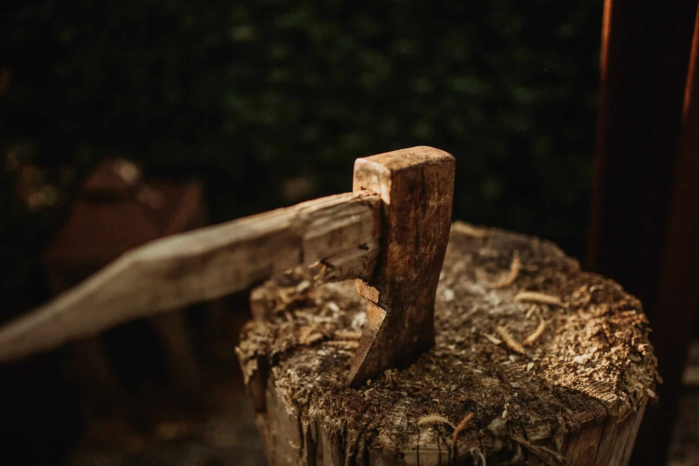 An axe embedded in a tree stump