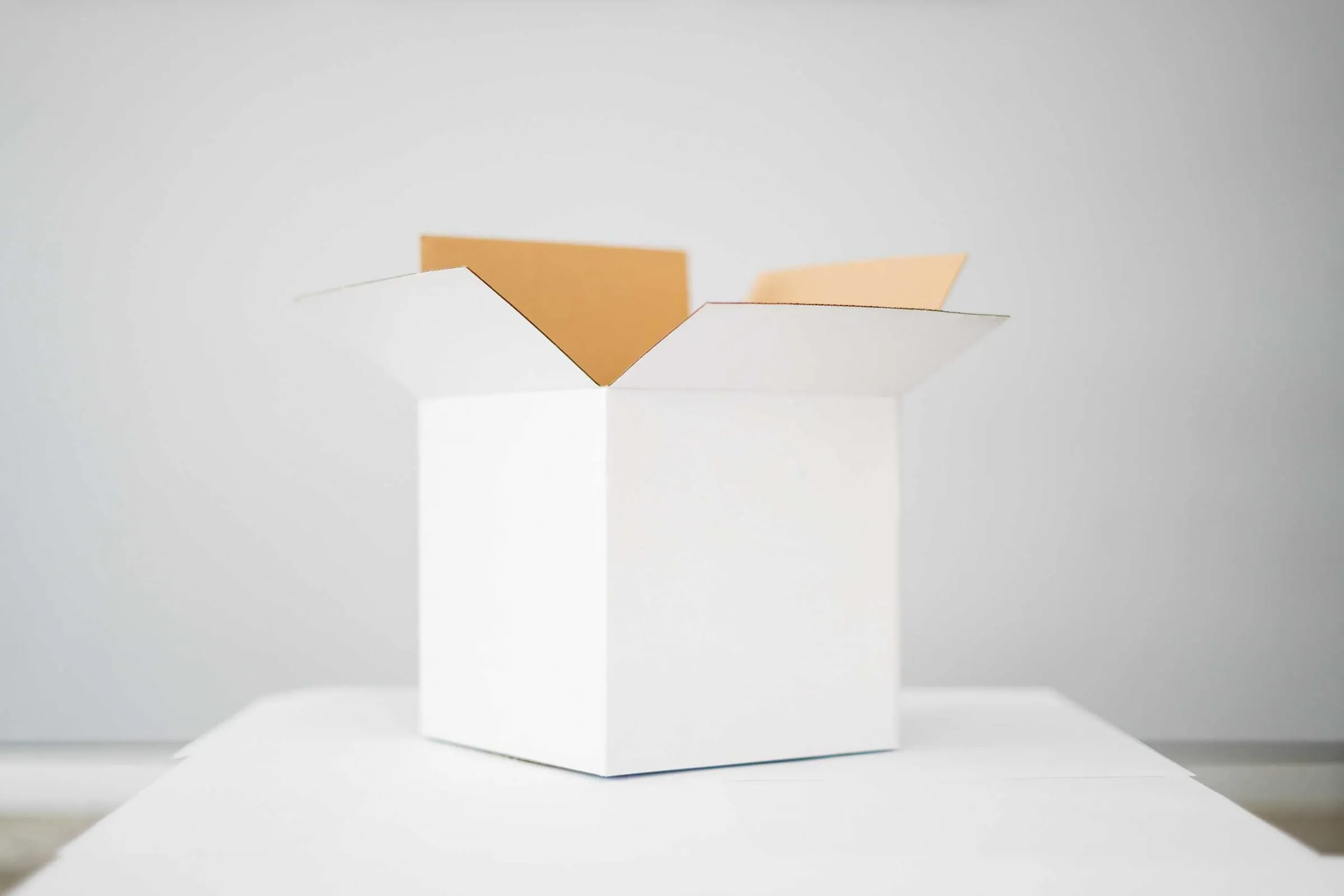 An open cardboard box on a white surface