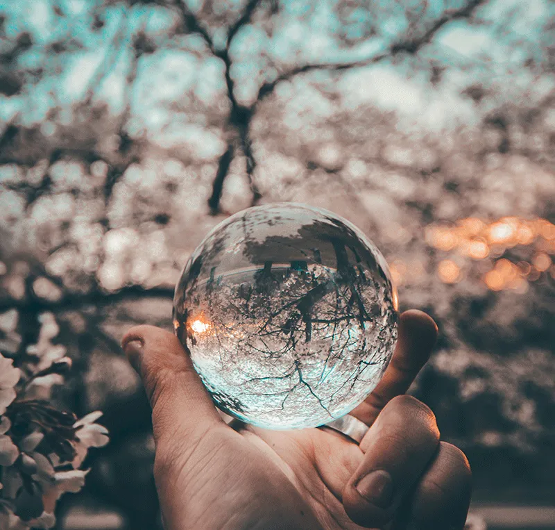 A hand holding a glass sphere that shows the bare trees behind it inverted