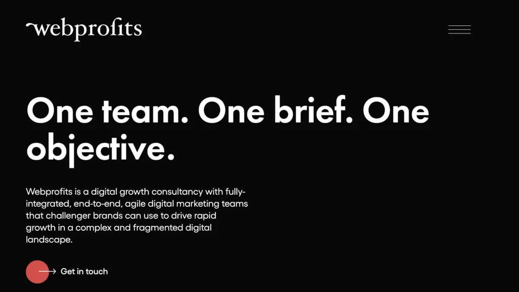 The Webprofits homepage headed one team, one brief, one objective